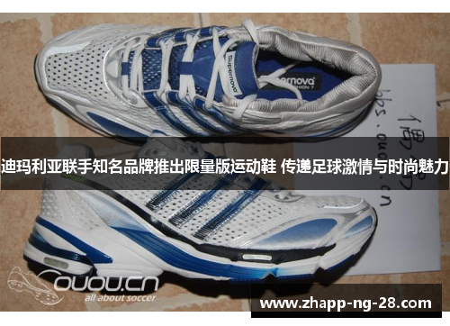 迪玛利亚联手知名品牌推出限量版运动鞋 传递足球激情与时尚魅力 迪玛利亚联手知名品牌推出限量版运动鞋 传递足球激情与时尚魅力