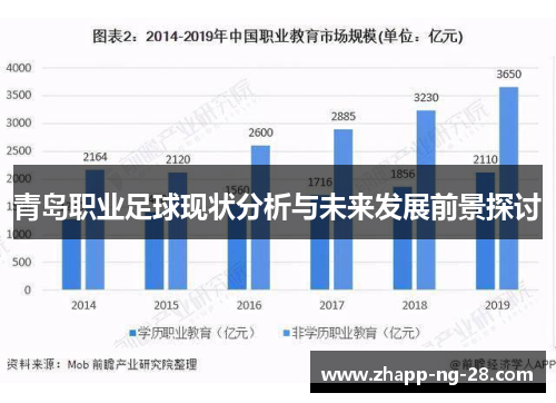 青岛职业足球现状分析与未来发展前景探讨 青岛职业足球现状分析与未来发展前景探讨