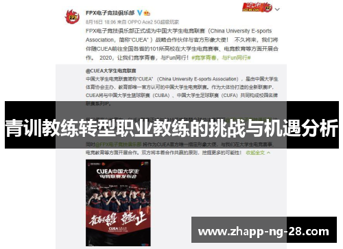 青训教练转型职业教练的挑战与机遇分析