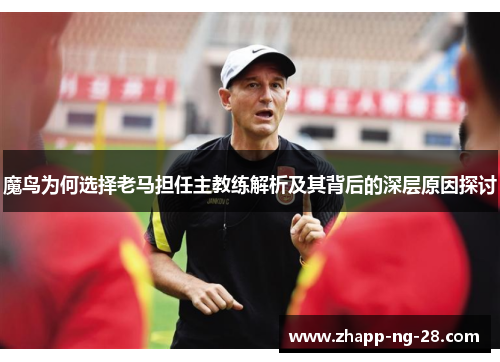 魔鸟为何选择老马担任主教练解析及其背后的深层原因探讨 魔鸟为何选择老马担任主教练解析及其背后的深层原因探讨