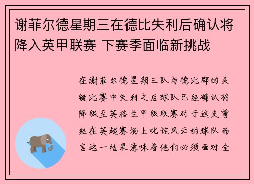谢菲尔德星期三在德比失利后确认将降入英甲联赛 下赛季面临新挑战